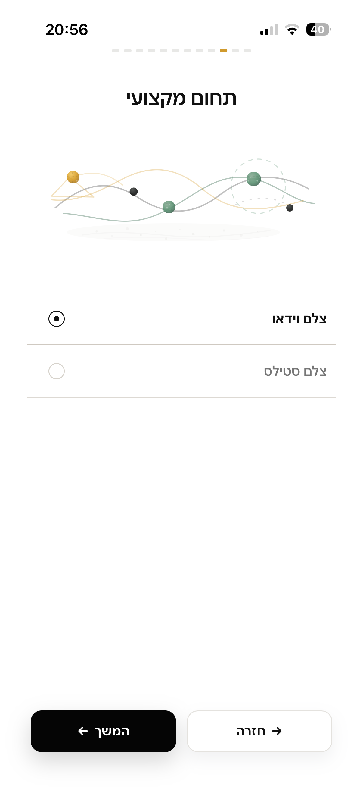 בחירת תחום מקצועי